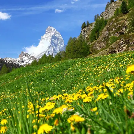 Appartement Haus Bellevue-6 By Interhome Zermatt